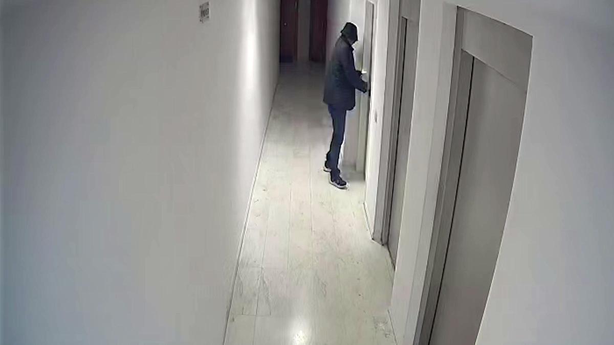 Imatges de les càmeres de seguretat on es veu el detingut