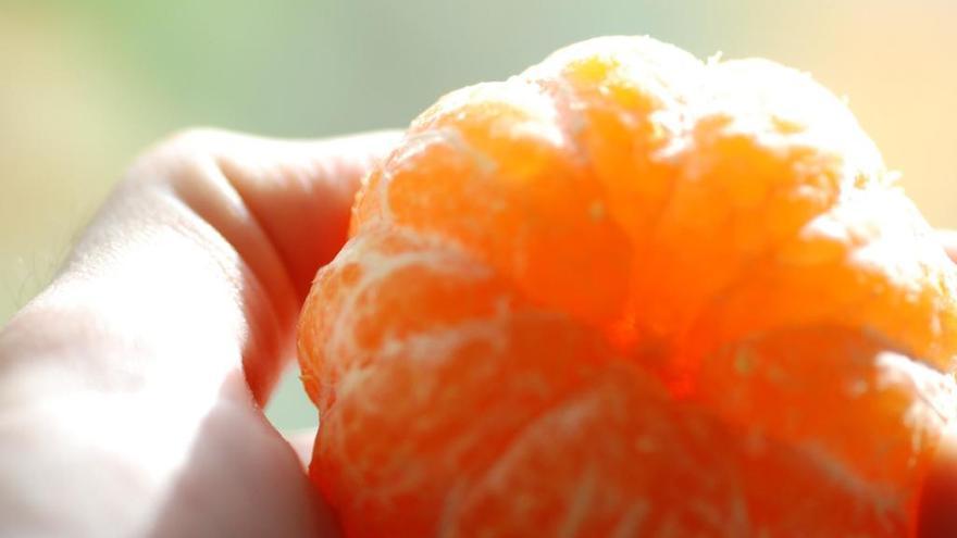 La mandarina de origen israelí Orri duplica ventas en 2018
