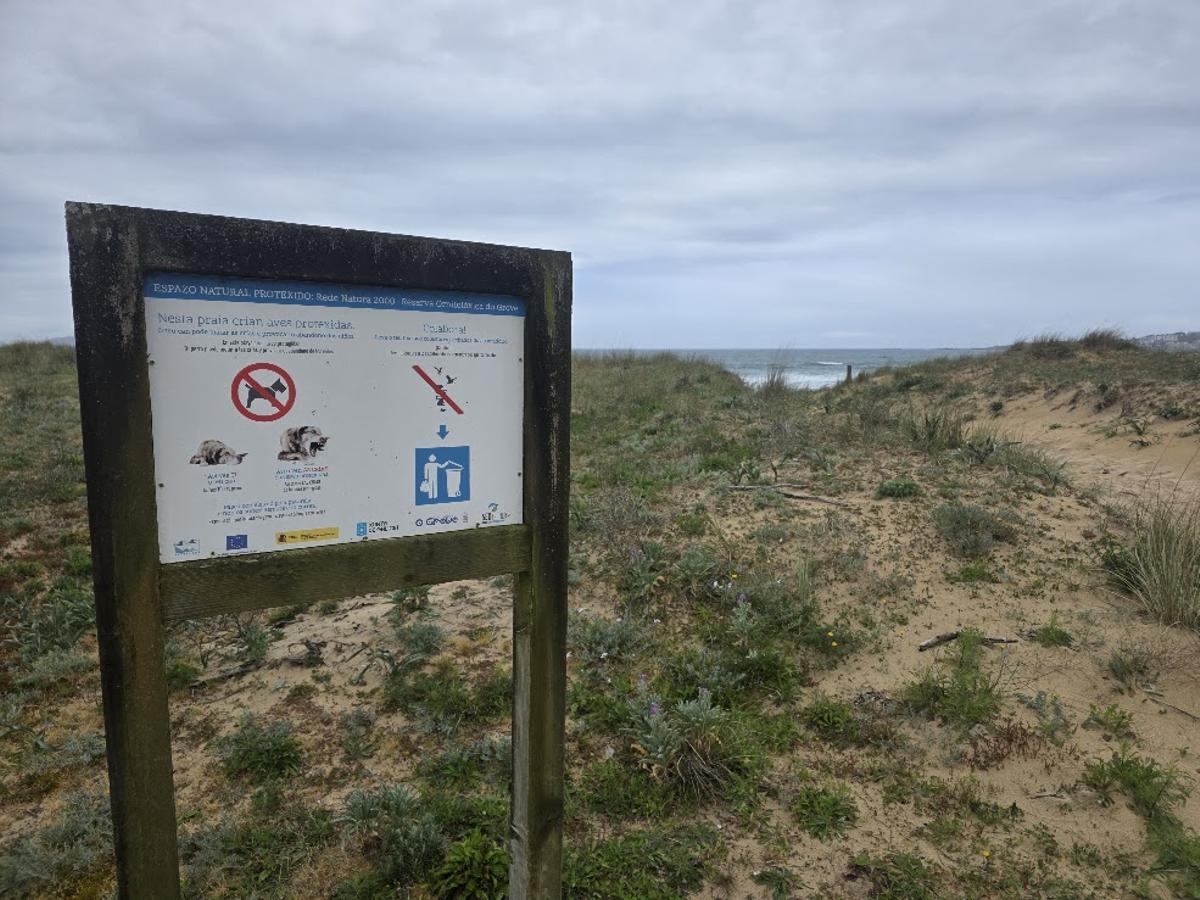 El cordón dunar de A Lanzada.