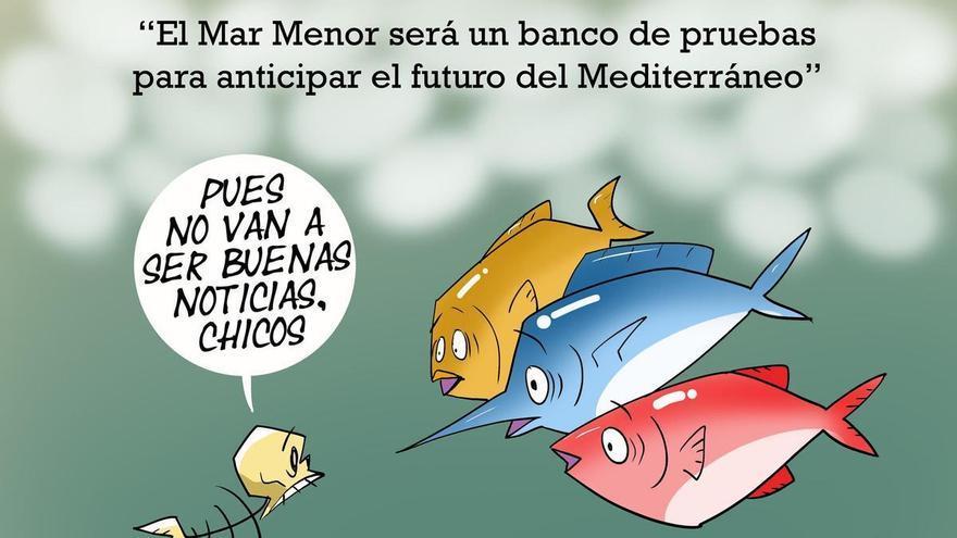 La Rendija de Sabiote (15/07/2026)