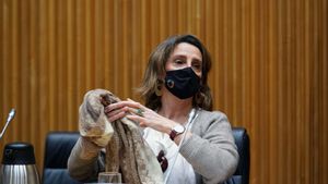 Ribera veu «absolutament prematur» pronunciar-se sobre l’opa a Naturgy