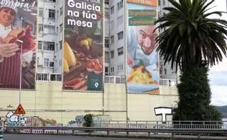 De la Casa Carnicero solo queda la palmera