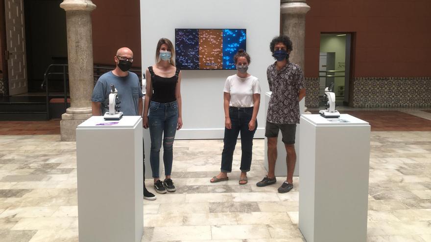 La Diputación de Zaragoza convoca sus premios y becas de arte, poesía y narrativa