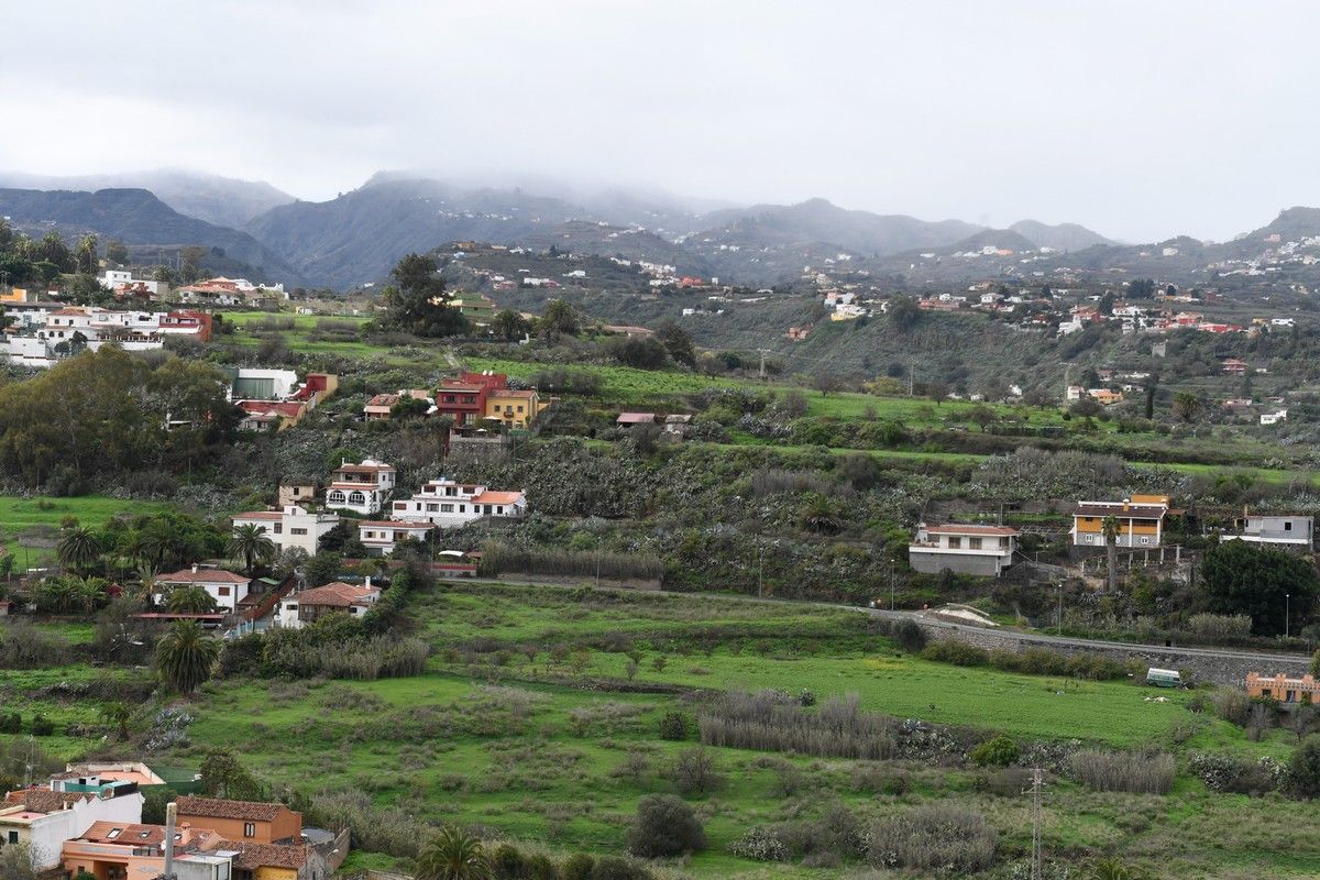 Santa Brígida en Navidad