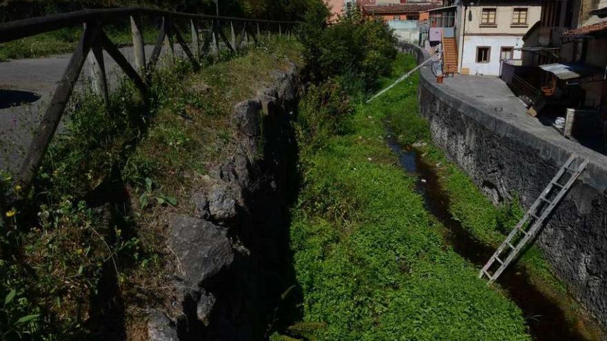 Quejas por la acumulación de maleza y basura en el río Triana