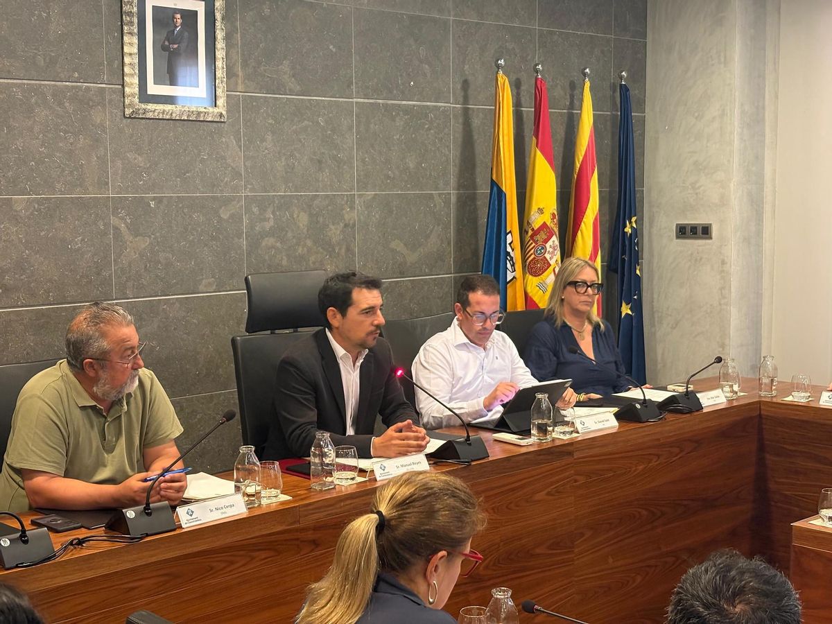 Manu Reyes, durante su intervención en el pleno extraordinario de este viernes