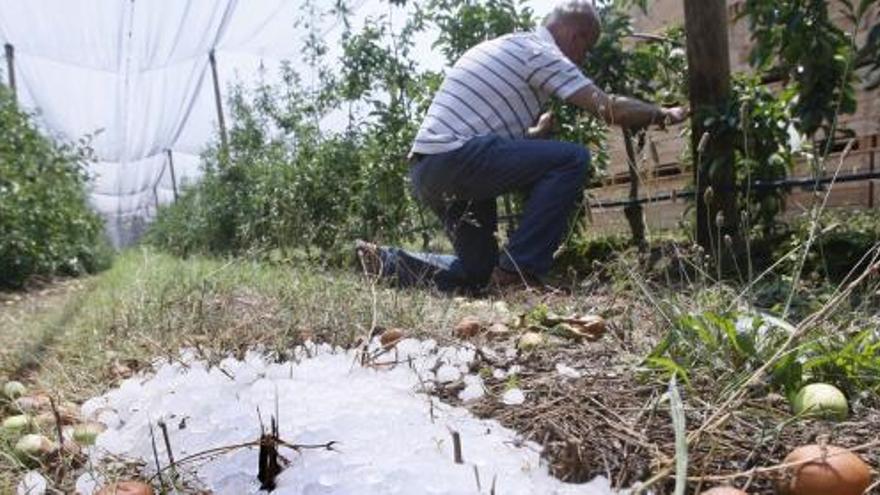 La pedregada &quot;mai vista&quot; provoca una  catàstrofe als camps empordanesos