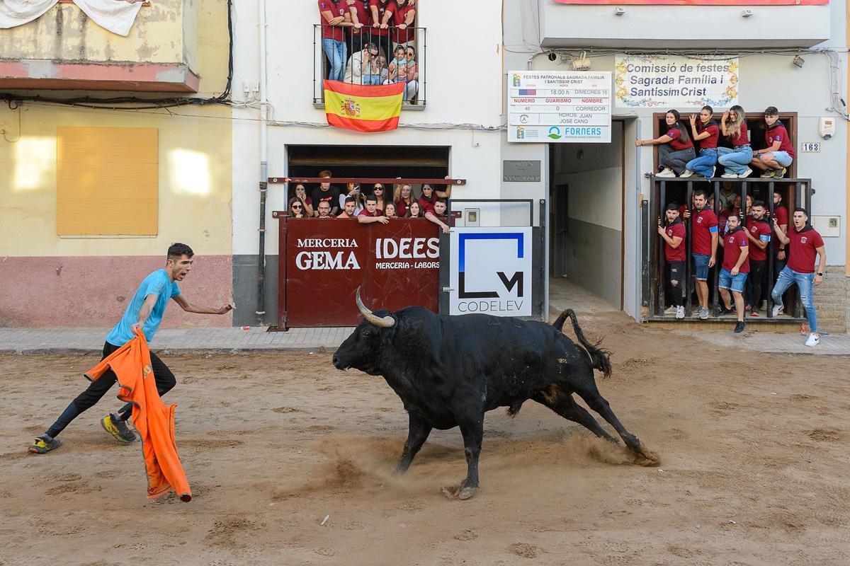 Los aficionados disfrutando de los actos taurinos.