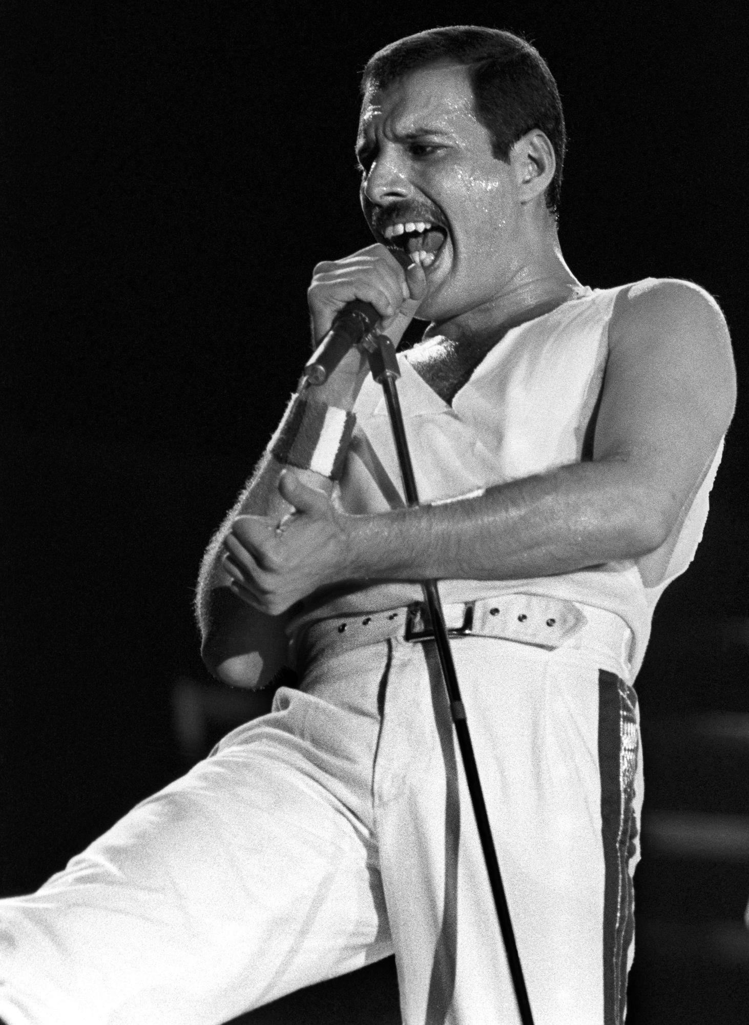 M SICA El d a que Freddie Mercury rein en Vallecas