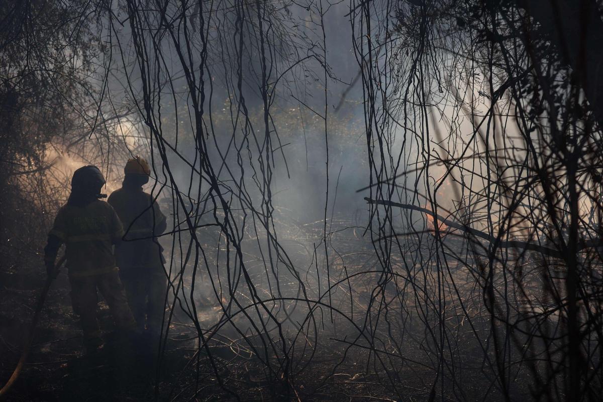 Bomberos chilenos trabajan durante un incendio forestal en Concepción, Chile, el 18 de enero de 2026.