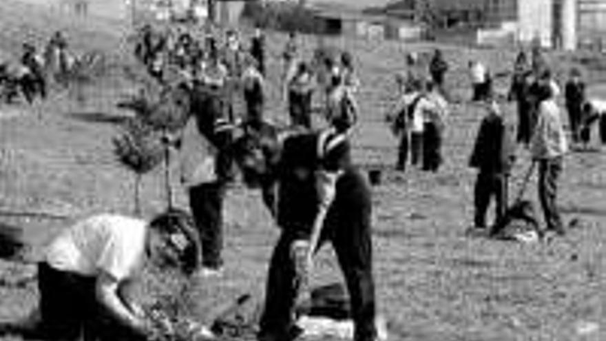 Primer paso del parquedel Cerro de los Pinos