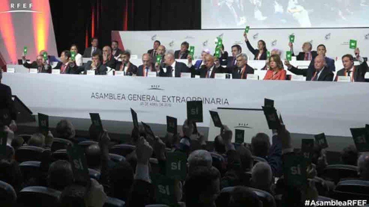 La asamblea ha ratificado la comisión delegada de la RFEF