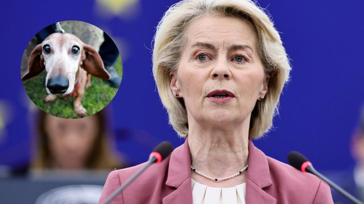 La UE implementa estas normas a partir de 2028.