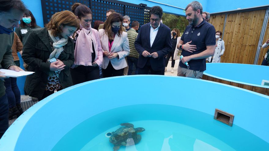 La Tahonilla opens a facility for the rehabilitation of sea turtles