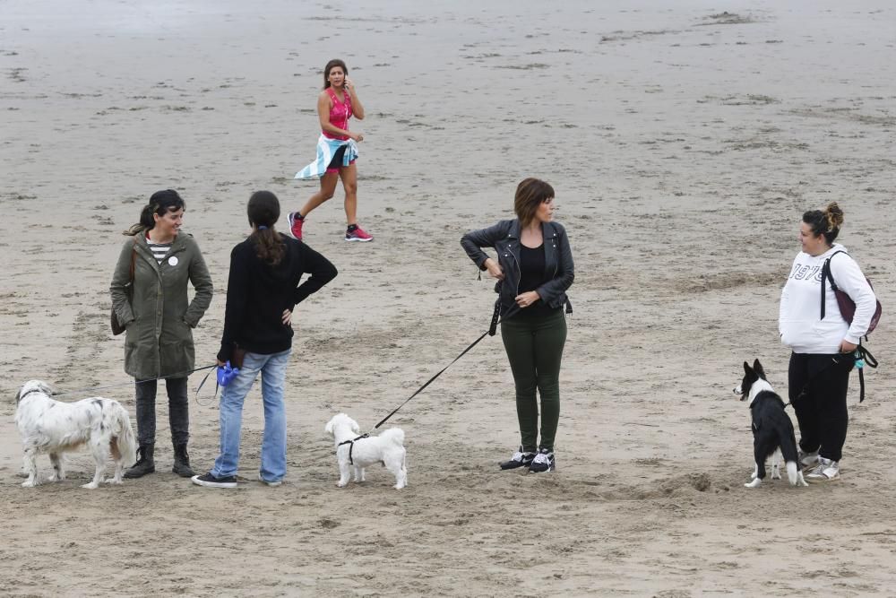 Concentración en la playa de Salinas para pedir el acceso para perros