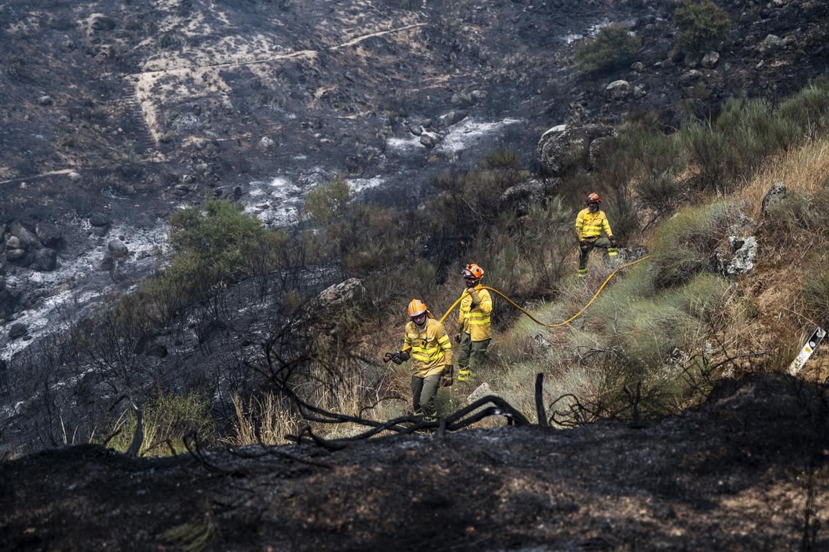 Fotogalería | Así ha sido el incendio forestal en Garrovillas de Alconetar