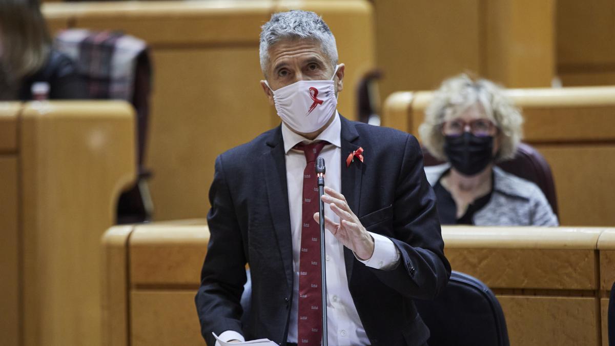 El Ministro del Interior, Fernando Grande-Marlaska, en el Senado.