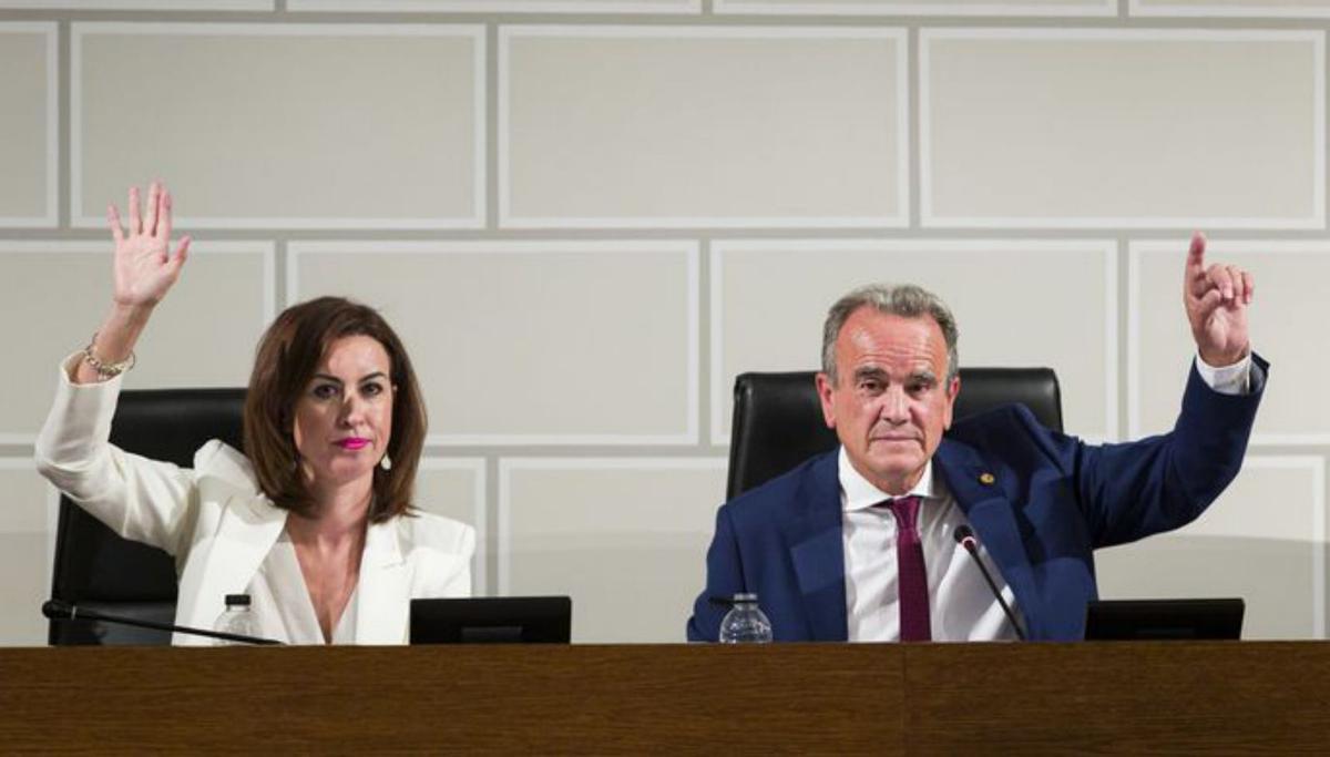 El presidente de la DPZ, Juan Antonio Sánchez Quero, y la vicepresidenta, Teresa Ladrero, durante la aprobación del PLUS 2025.