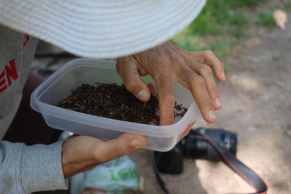 Unes 85 perosnes aficionades a la natura han participat al Bioblitz