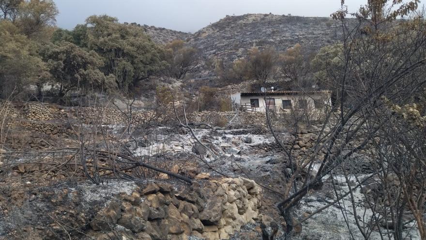 Francisco Javier Molines, alcalde de Tàrbena: &quot;Las consecuencias del incendio afectarán a la agricultura y al turismo rural de la zona&quot;