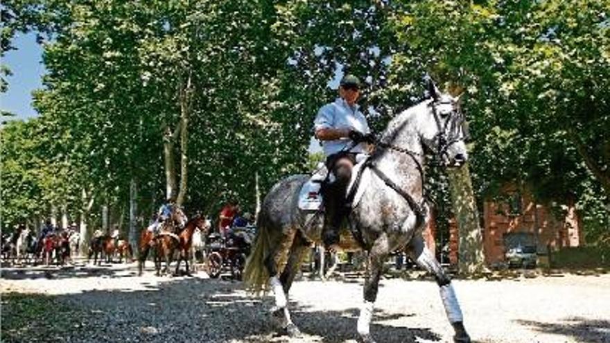 L&#039;Ajuntament de Girona destina 2.000 € per primer cop a la protecció de cavalls