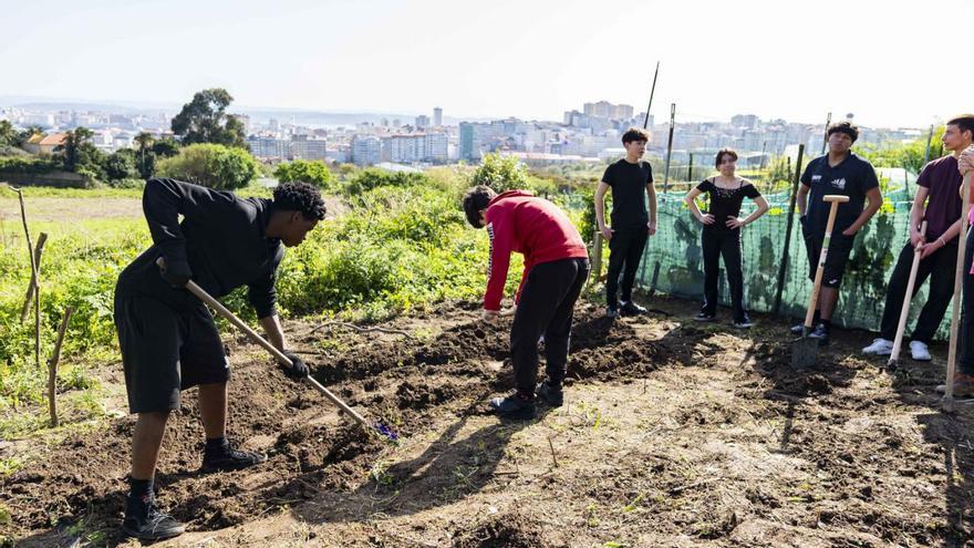 De unas letras gigantes con el nombre de la ciudad a un parque de aventuras en Xuxán: estas son las propuestas de los presupuestos participativos de A Coruña