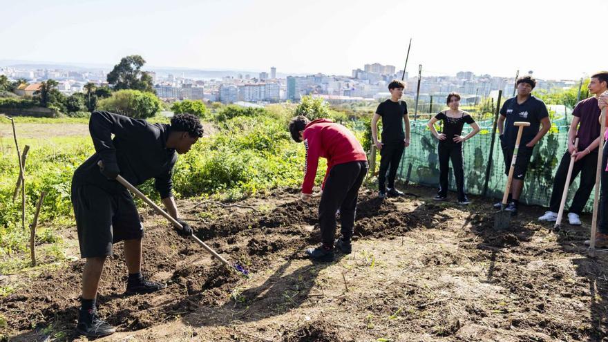 Jóvenes del Agra do Orzán cultivan la tierra en las huertas de Visma.   | // ÍÑIGO ROLÁN