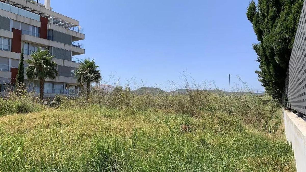 Primera cesión del Consell de un terreno para edificar 30 viviendas para sanitarios en Ibiza