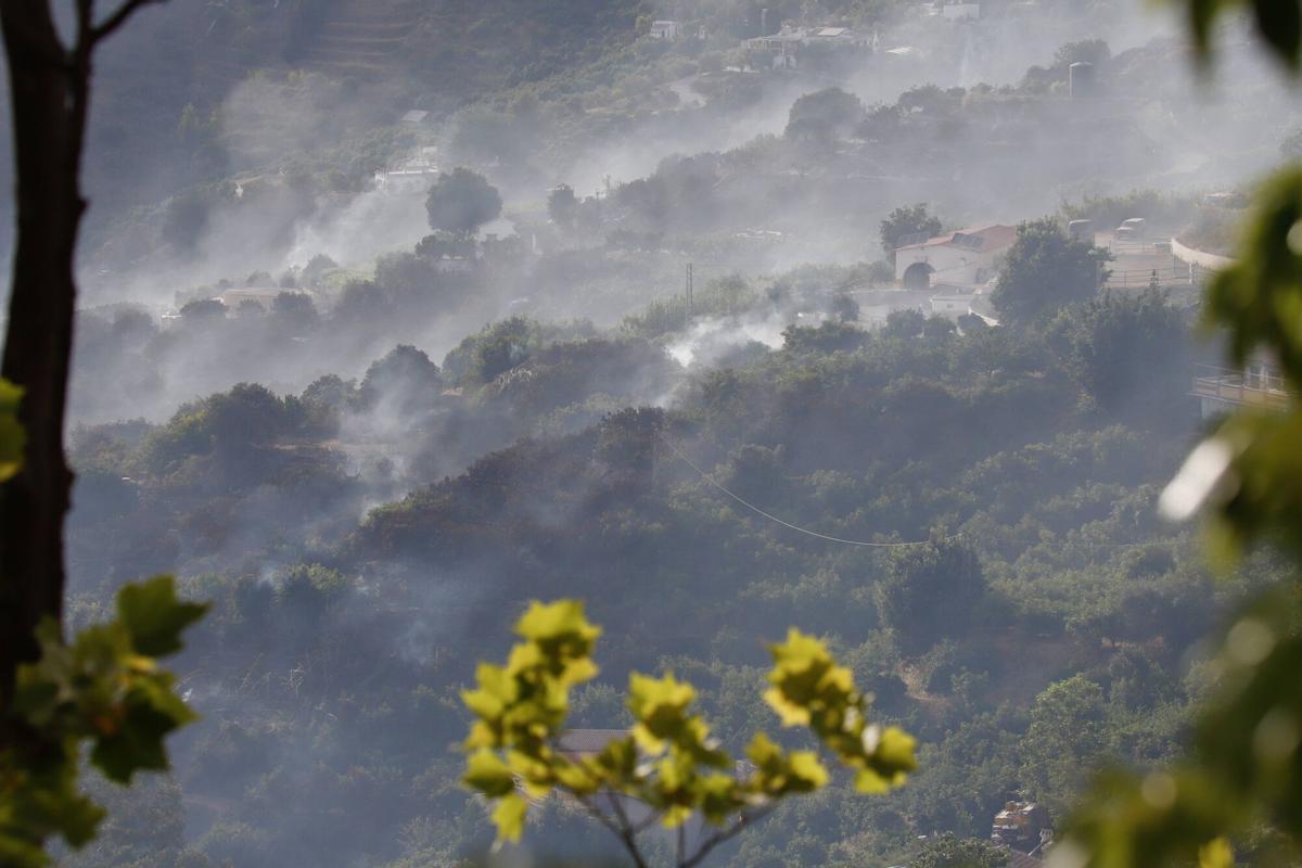 El Infoca lucha contra el incendio forestal declarado este viernes a mediodía en el término municipal de Árchez y que ha obligado a desalojar viviendas de diseminados de Árchez y Cómpeta. En este último municipio se ha instalado el puesto de mando para coordinar las labores de extinción, en la que participan una docena de medios aéreos y casi 150 bomberos forestales.