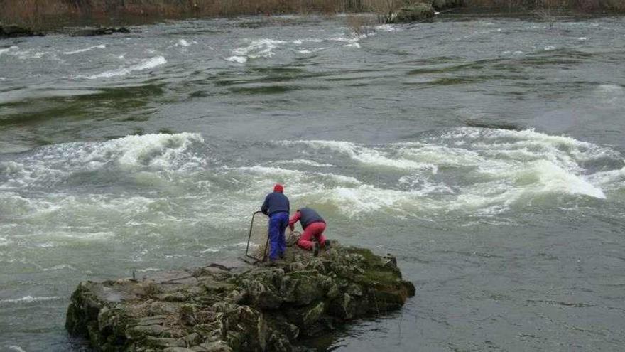 Dos pescadores en una pesqueira del río Miño. // D.P.