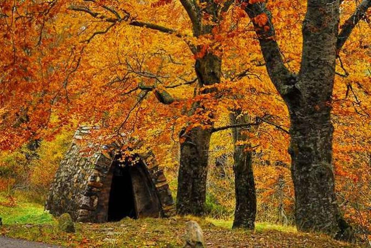 Hayedo de Peña Roya