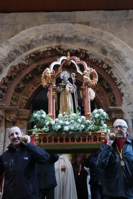 Bendición de San Antón en Zamora