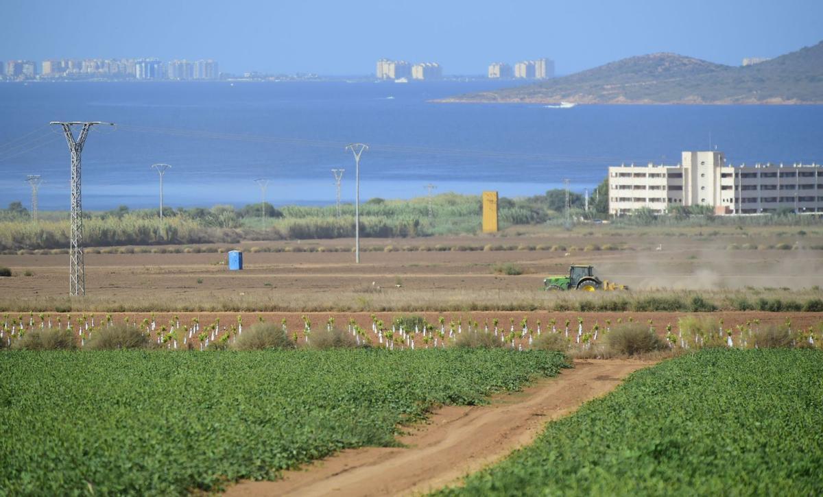 Una de las explotaciones
agrícolas en el entorno del 
Mar Menor.  iván urquízar