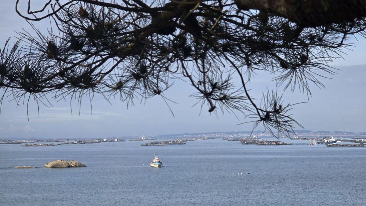 Polígono de bateas situado frente a San Vicente de O Grove.