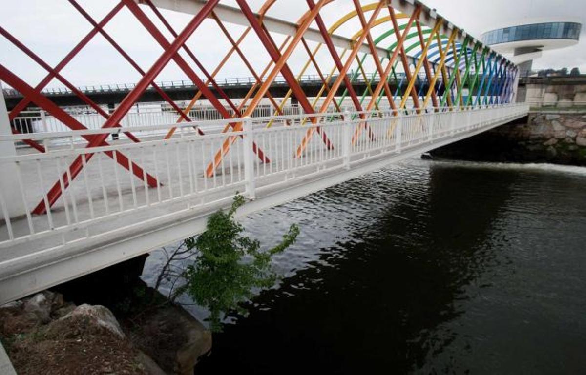 La naturaleza busca espacio en la ría