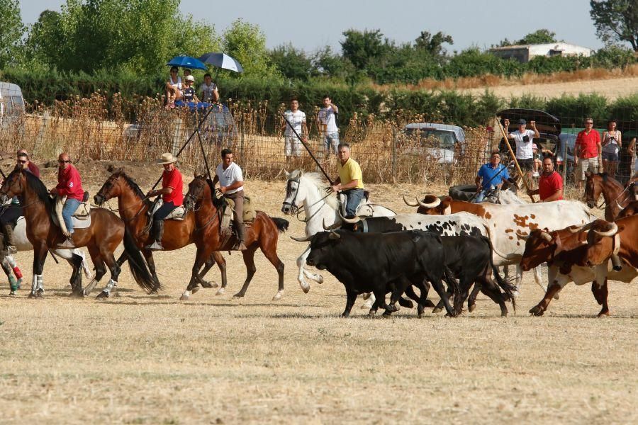 Fiestas en Zamora: Espantes en Fuentelapeña