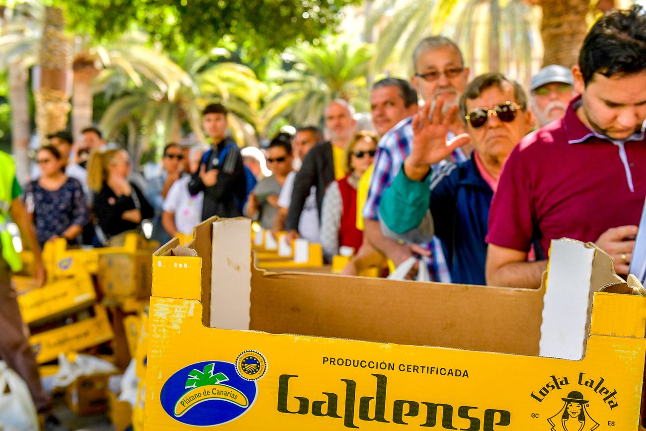 Tractorada del sector primario en Las Palmas de Gran Canaria (21/02/24)