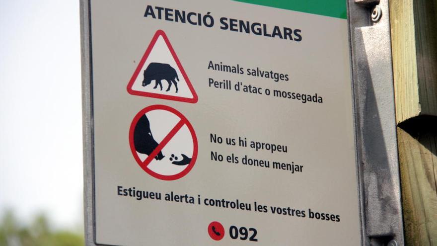 Un cartell informatiu que alerta sobre la presència de senglars