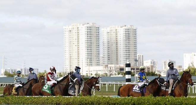 Los caballos son conducidos a la puerta de salida por los jinetes que llevan máscaras protectoras antes de la 68ª carrera de The Appleton en el Parque Gulfstream en Hallandale, Florida.