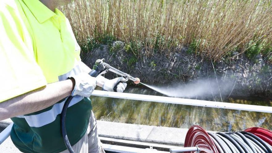 Diputación aplaza una semana la reunión de alcaldes contra los mosquitos