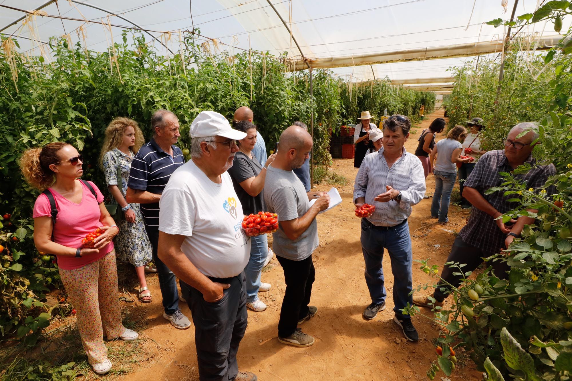 Visita guiada a la finca hortícola de Can Pol en Ibiza