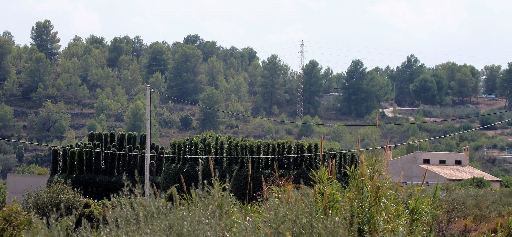 Caza . parany. un paranyer de L'Alcora amenaza a dos agentes medioambientales con una escopeta