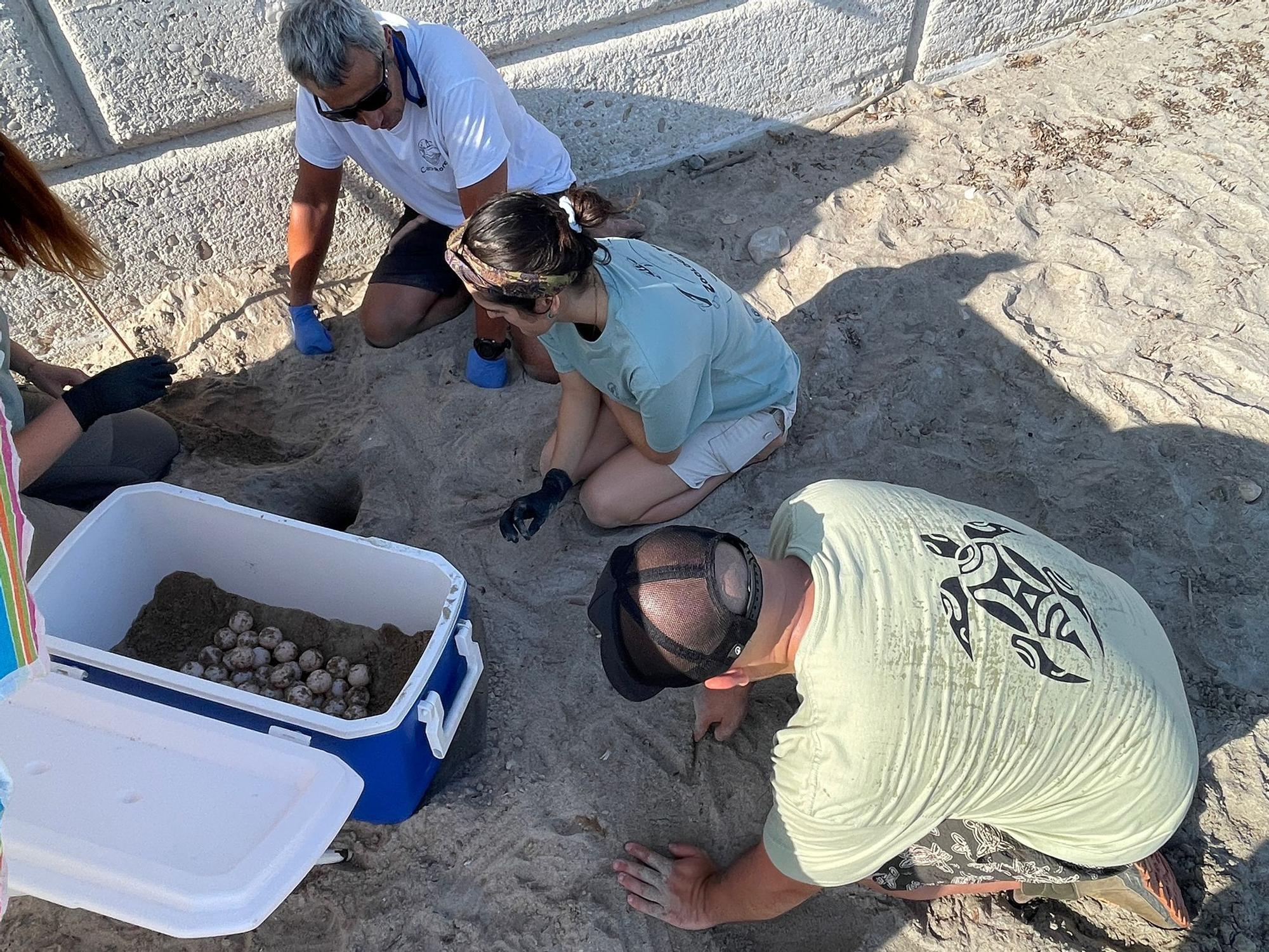 Gigiibunny desnuda i have seen Tracy several times and