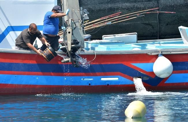 BARCOS ARGUINEGUIN ATUN