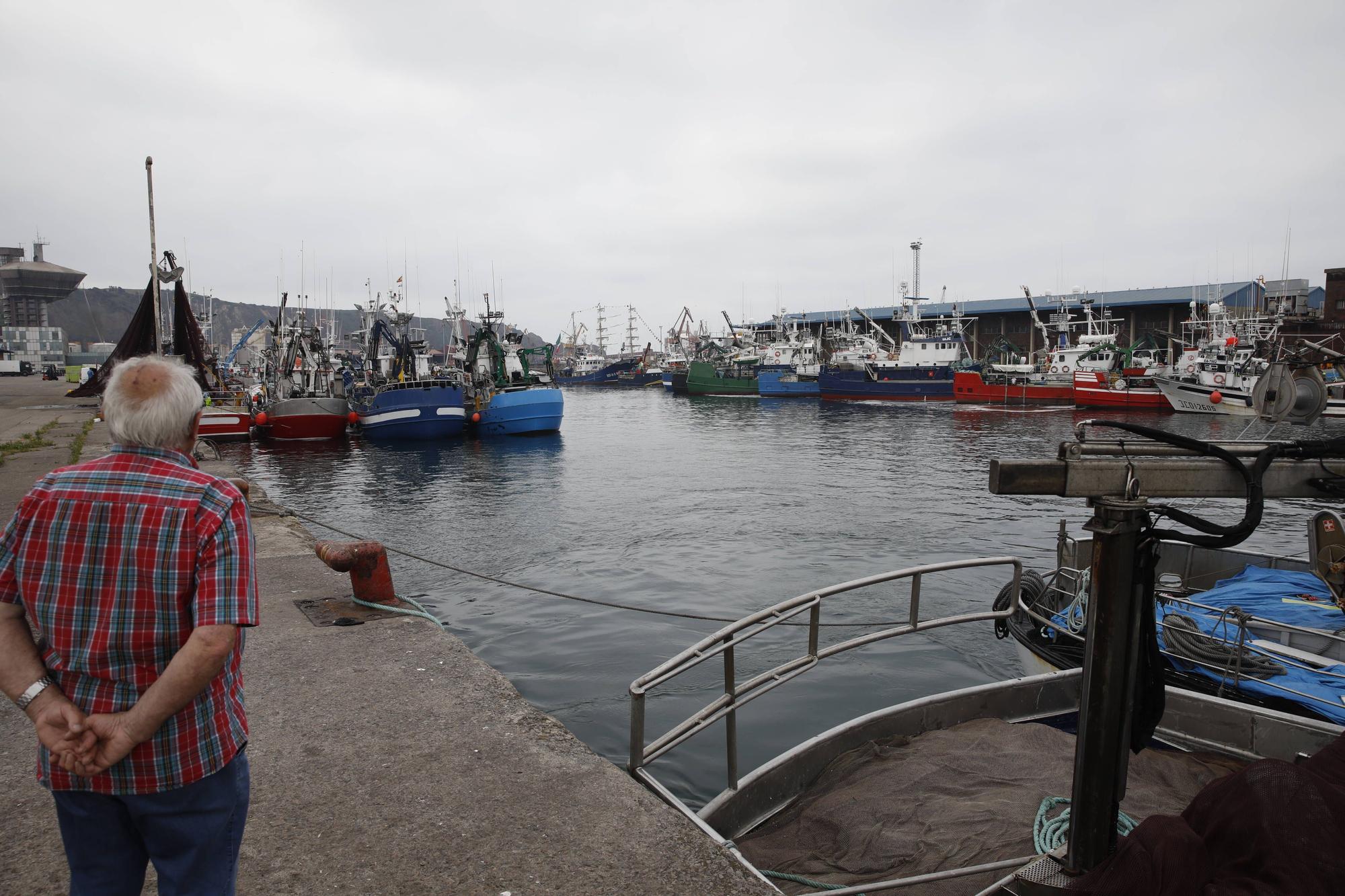 En imágenes: Gran descarga de bocarte en el puerto de Gijón