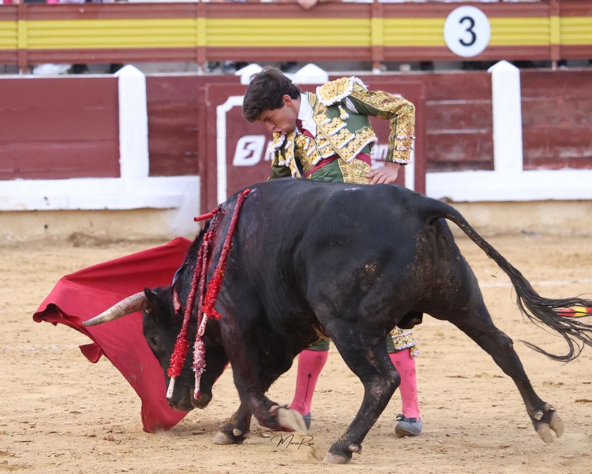 Julio Méndez con Apoulado, el toro encargado de cerrar la novillada de Mérida.