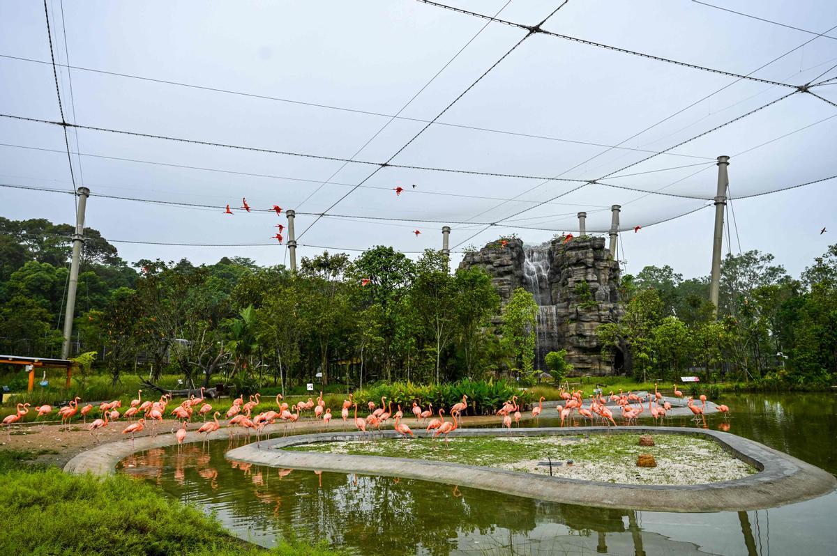 Singapur estrena el parque Paraíso de los pájaros