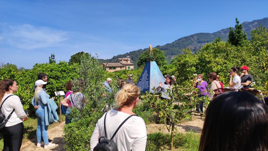 Estellencs y Banyalbufar pilotan un proyecto para recuperar la agricultura