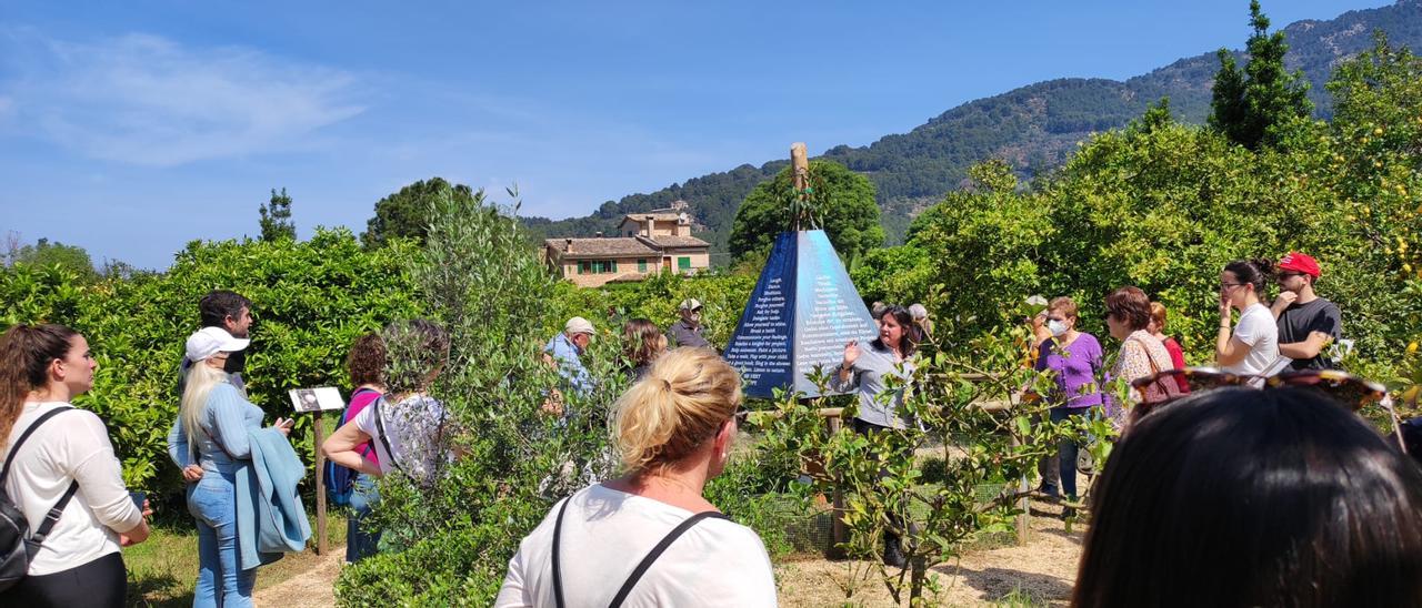 Estellencs y Banyalbufar pilotan un proyecto para recuperar la agricultura