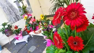 Vegueta abre la puerta a un nuevo mercado floral